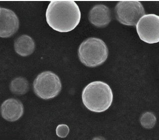 Scanning electron micrograph of Lu120819 nanoparticles